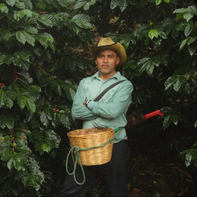 Freelance Coffee Project business photo